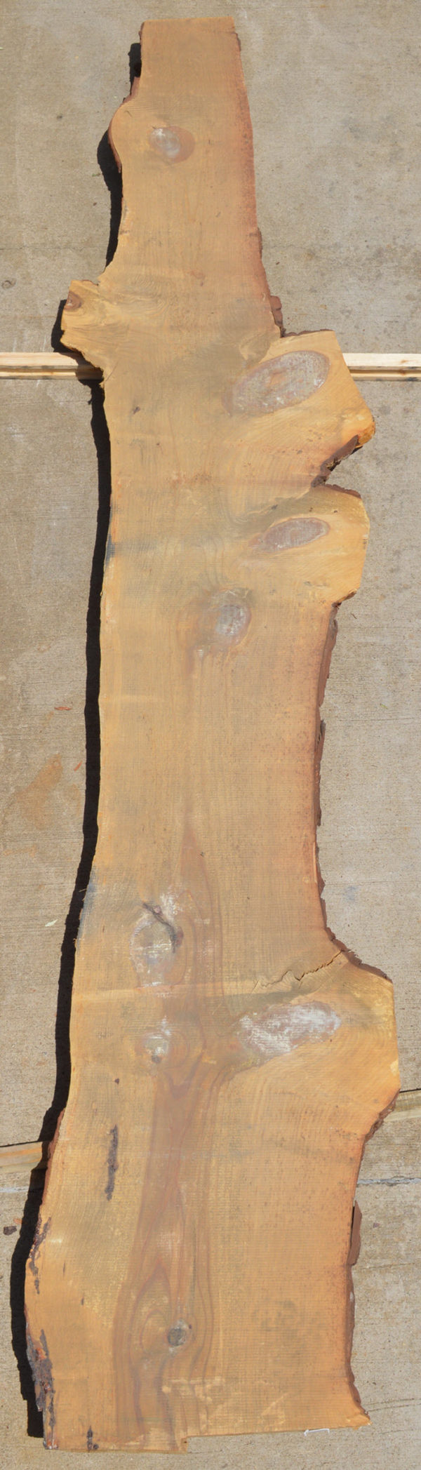 Slabs & Mantels Brazos Forest Products Distributor of Quality